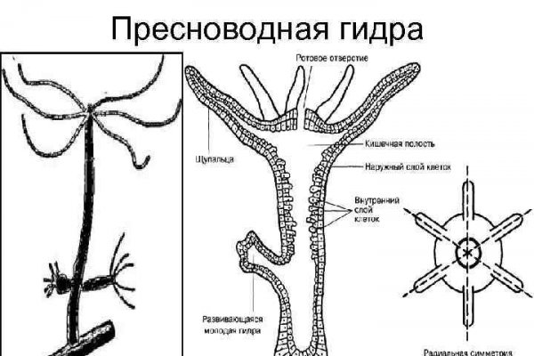 Кракен найти сайт